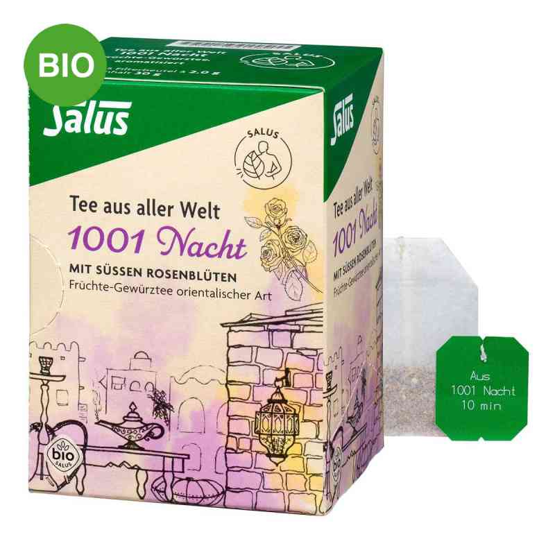 Kräuter Gewürztee a.1001 Nacht Bio Beutel salus 15 stk von SALUS Pharma GmbH PZN 06415802