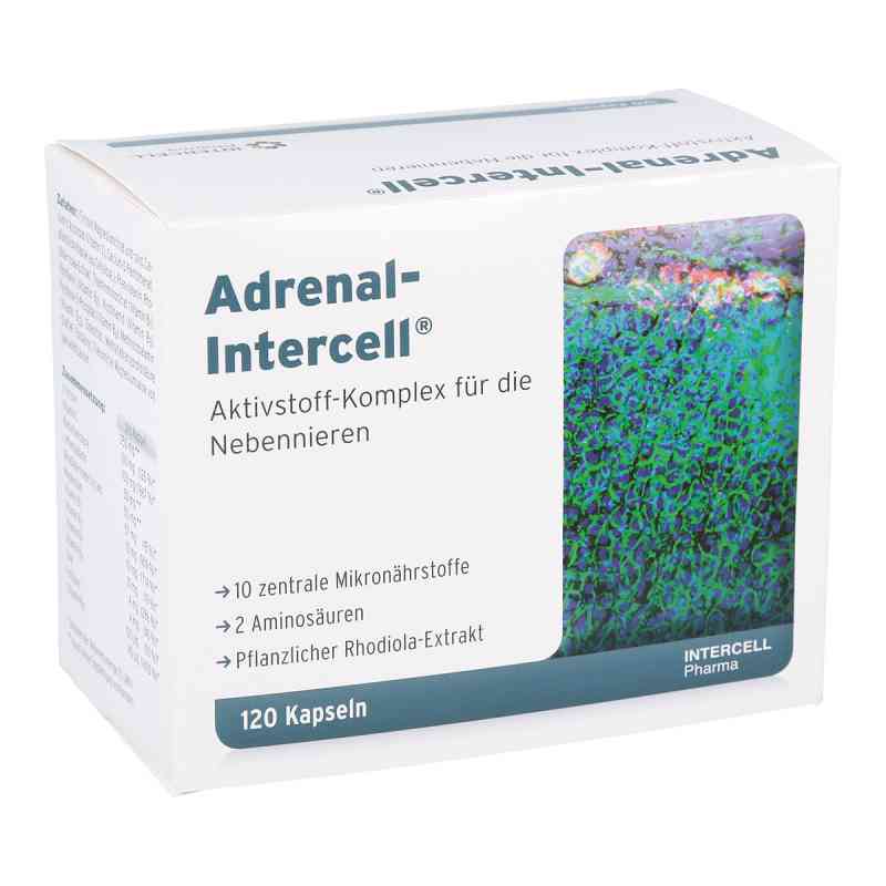 Adrenal-intercell Kapseln 120 stk von INTERCELL-Pharma GmbH PZN 11316315