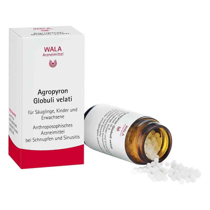 Agropyron Globuli Velati 20 g von WALA Heilmittel GmbH PZN 01447861