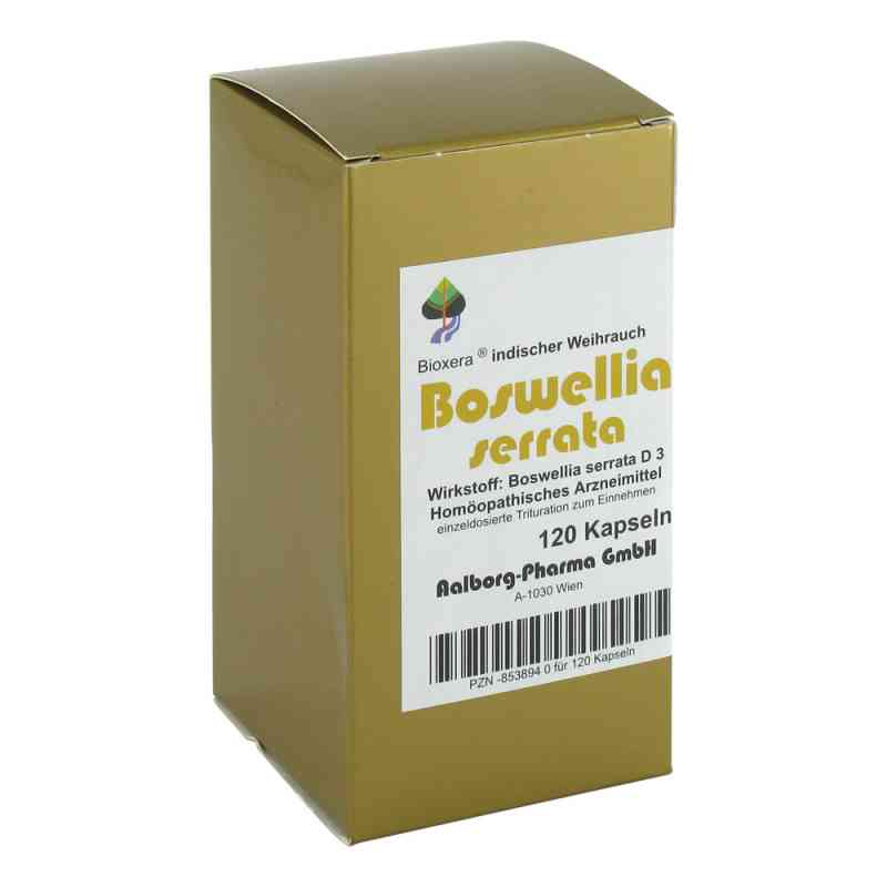 Boswellia serrata Bioxera Kapseln 120 stk von Diamant Natuur B. V. s.r.o. PZN 08538940