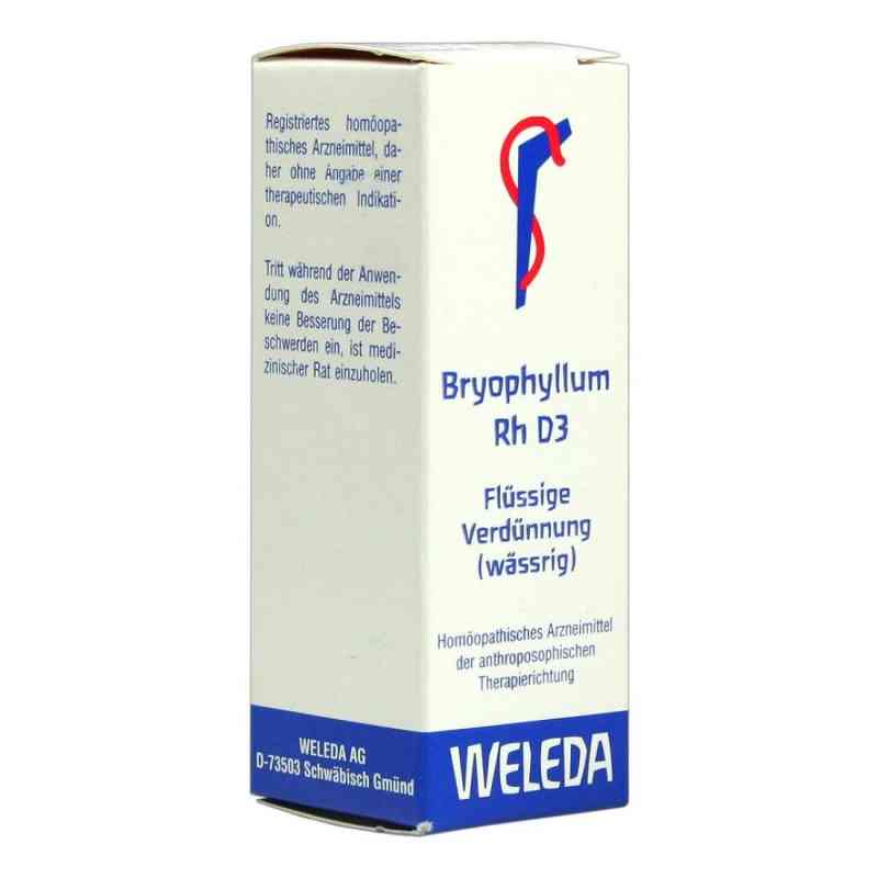 Bryophyllum Rh D3 Dilution 20 ml von WELEDA AG PZN 01629964