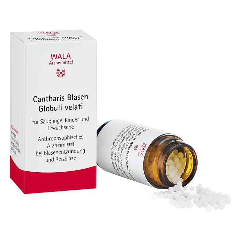 Cantharis Blasen Globuli velati 20 g von WALA Heilmittel GmbH PZN 00081234