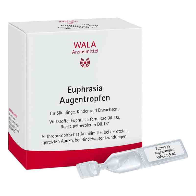 Euphrasia Augentropfen 30X0.5 ml von WALA Heilmittel GmbH PZN 01448168