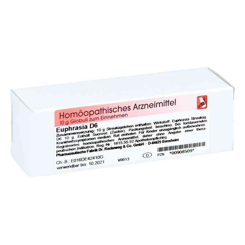 Euphrasia D 6 Globuli 10 g von Dr.RECKEWEG & Co. GmbH PZN 00908509