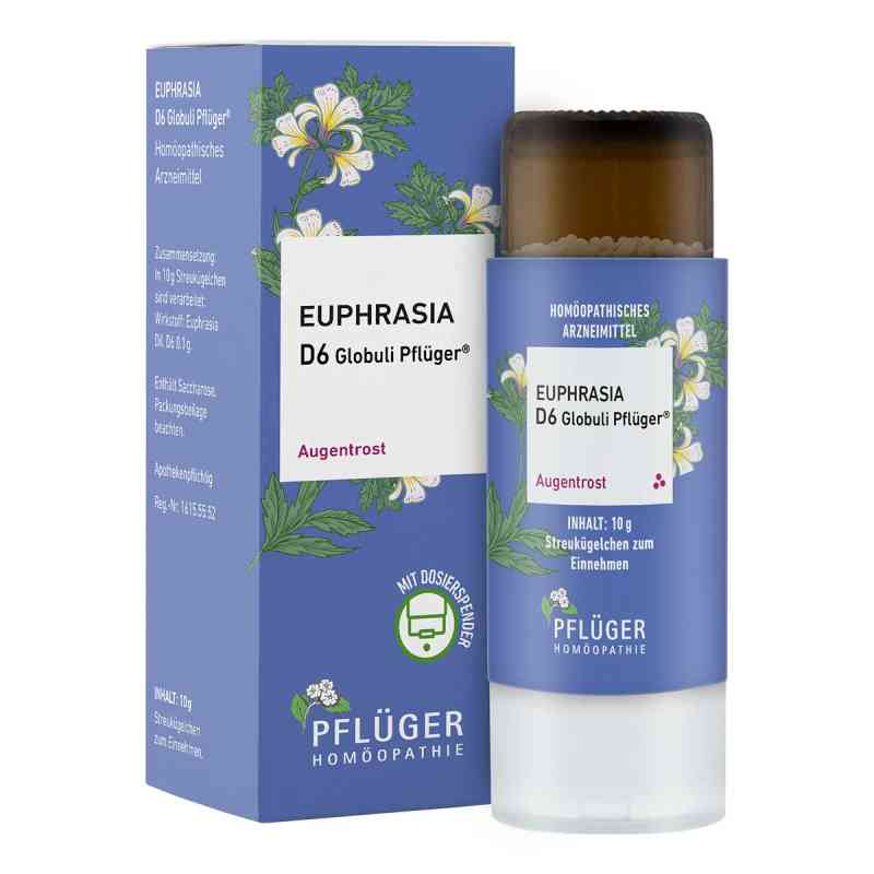 Euphrasia D6  Globuli Pflüger Dosierspender 10 g von Homöopathisches Laboratorium Alexander Pflüger Gmb PZN 18757904