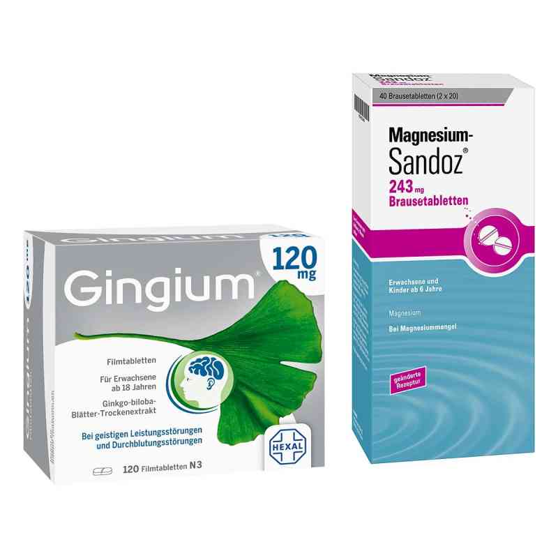 Gingium 120 mg Fta 120 stk + Magnesium Sandoz 243 mg Bta 40 stk 1 Pck von  PZN 08102998
