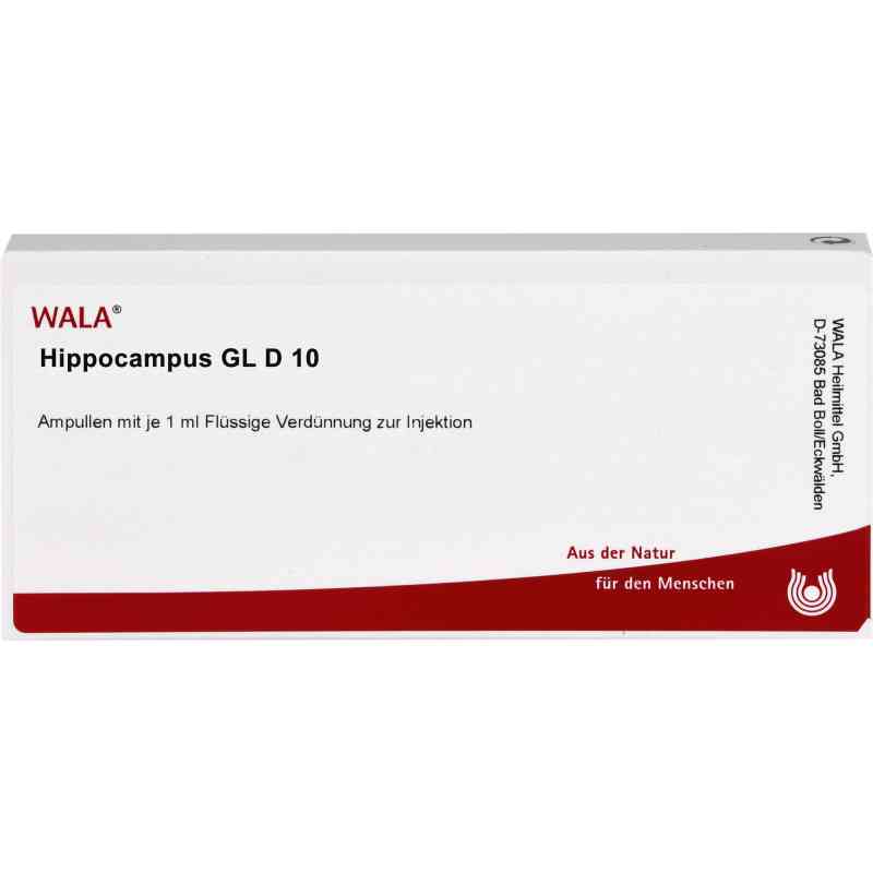 Hippocampus Gl D10 Ampullen 10X1 ml von WALA Heilmittel GmbH PZN 02878936
