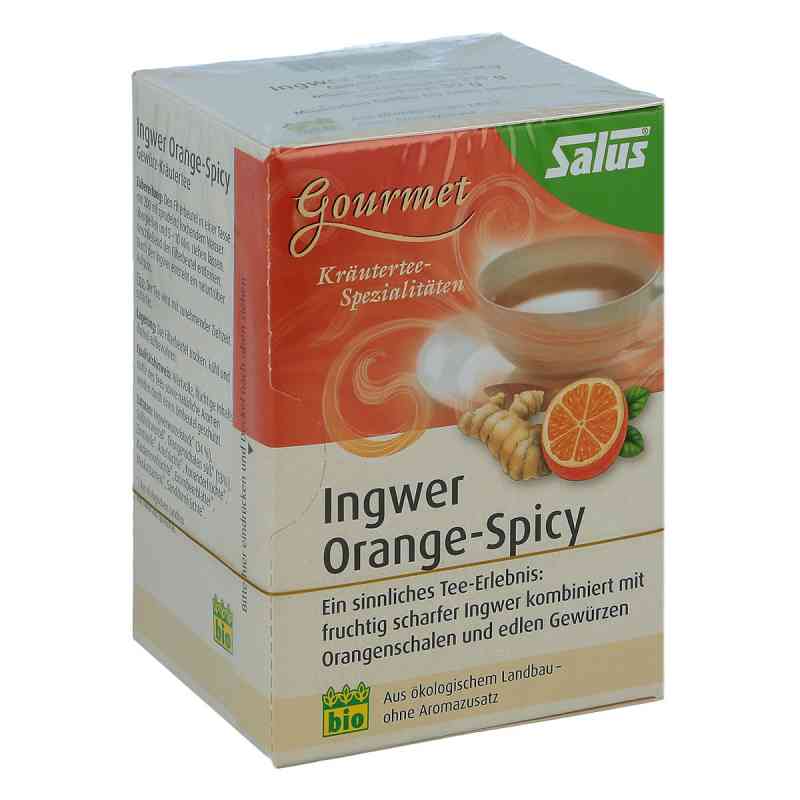 Ingwer Orange Spicy Tee Salus 15 stk von SALUS Pharma GmbH PZN 09003980