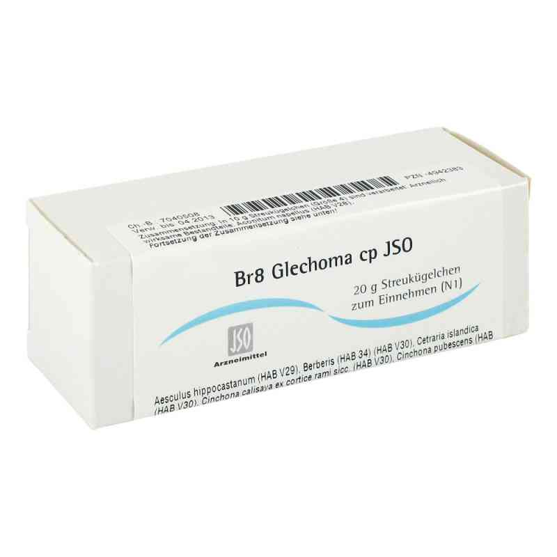 Jso Br 8 Glechoma Cp Globuli 20 g von ISO-Arzneimittel GmbH & Co. KG PZN 04942383