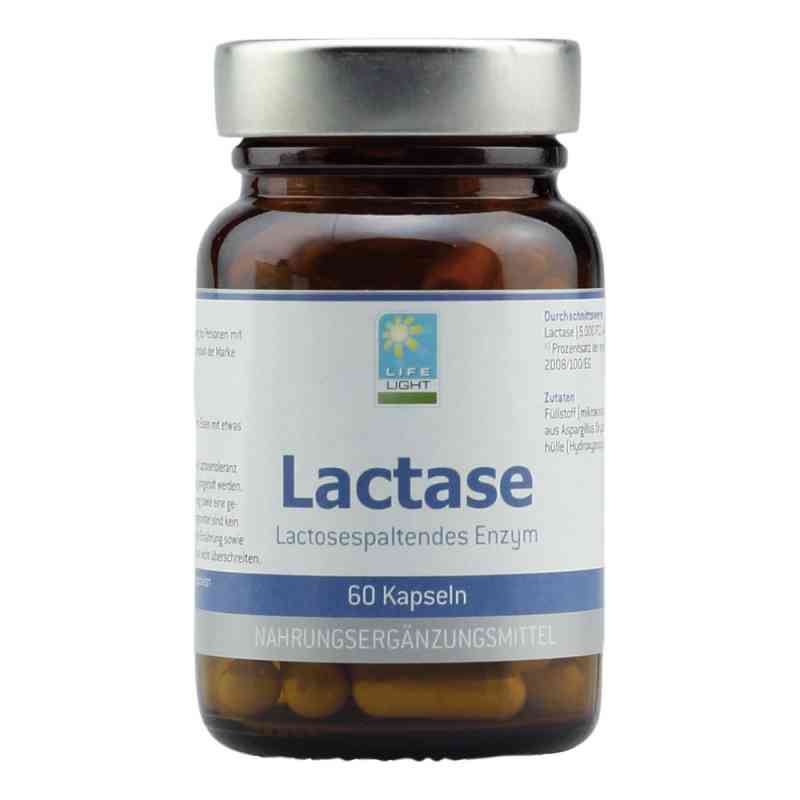Lactase Kapseln 60 stk von APOZEN VERTRIEBS GmbH PZN 09701595