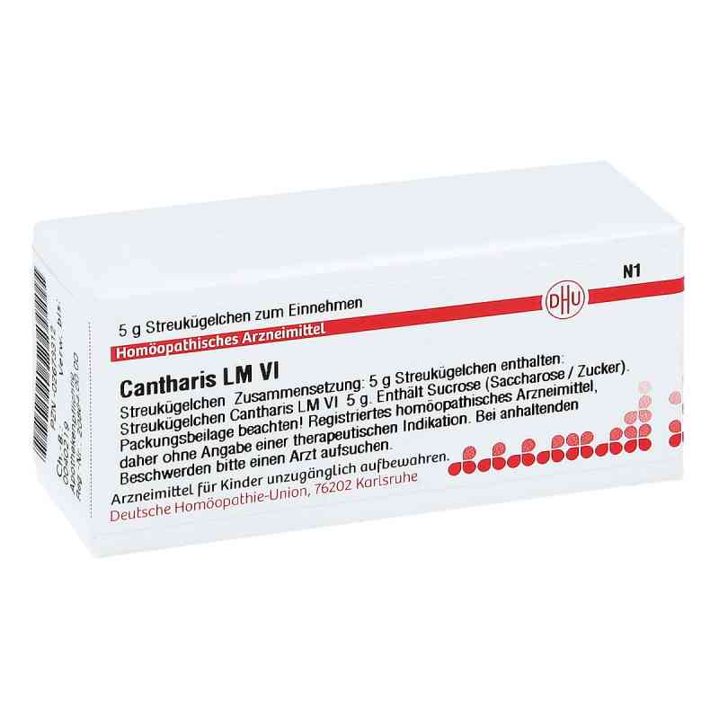 Lm Cantharis Vi Globuli 5 g von DHU-Arzneimittel GmbH & Co. KG PZN 02673312