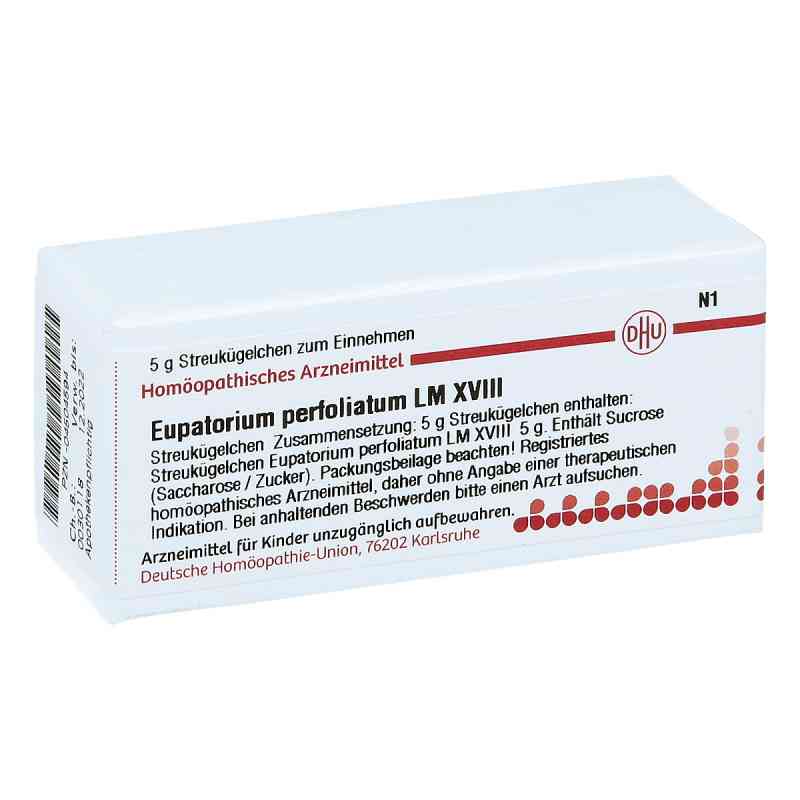 Lm Eupatorium Perf. Xviii Globuli 5 g von DHU-Arzneimittel GmbH & Co. KG PZN 04504594