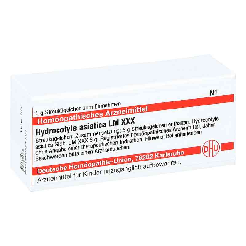 Lm Hydrocotyle Asiat. Xxx Globuli 5 g von DHU-Arzneimittel GmbH & Co. KG PZN 04505398