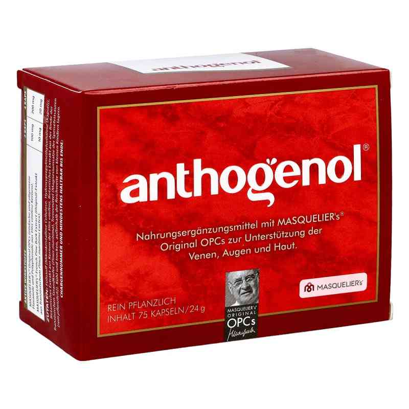 Opc Original Masqueliers Anthogenol Kapseln 75 stk von CMP GmbH PZN 00616215