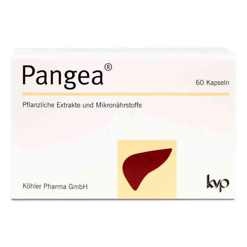 Pangea Kapseln 60 stk von Köhler Pharma GmbH PZN 16007501