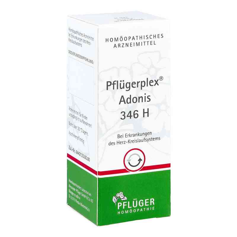 Pflügerplex Adonis 346 H Tabletten 100 stk von Homöopathisches Laboratorium Alexander Pflüger Gmb PZN 01059366