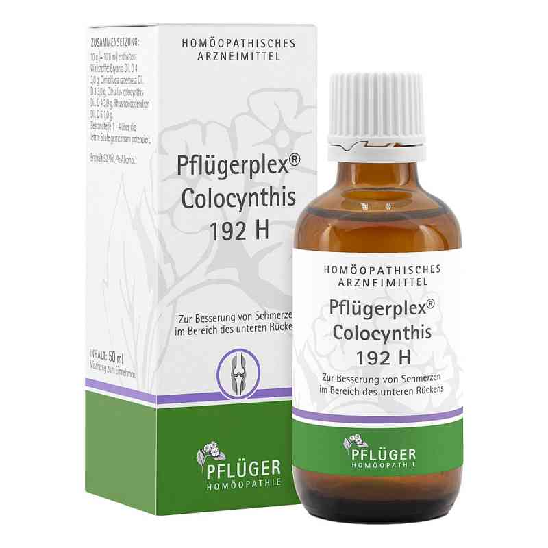 Pflügerplex Colocynthis 192 H Tropfen 50 ml von Homöopathisches Laboratorium Ale PZN 02888260