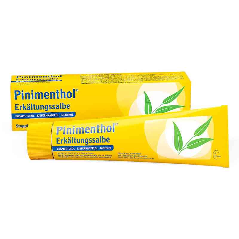 Pinimenthol Erkältungssalbe 100 g von Dr.Willmar Schwabe GmbH & Co.KG PZN 03745309