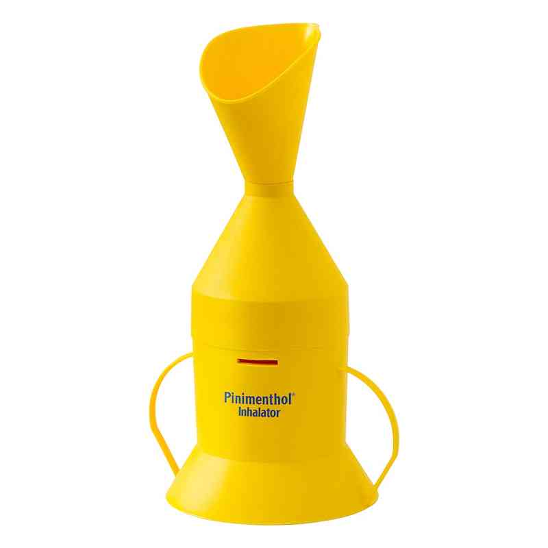Pinimenthol Inhalator 1 stk von Dr.Willmar Schwabe GmbH & Co.KG PZN 08518423