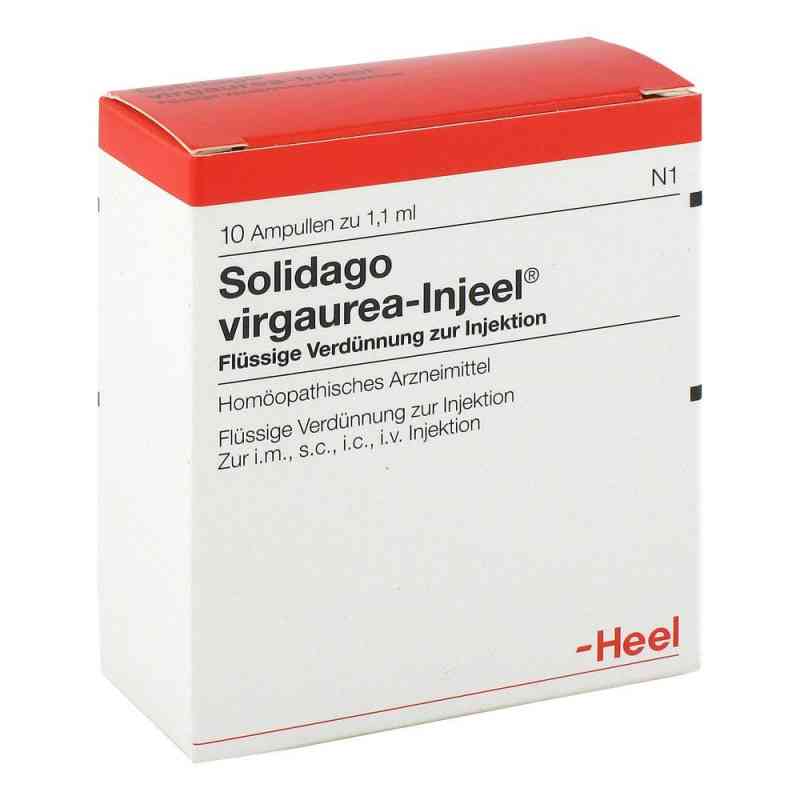 Solidago Virgaurea Injeel Ampullen 10 stk von Biologische Heilmittel Heel GmbH PZN 00945189