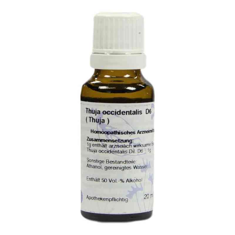 Thuja D6 Dilution 20 ml von HANOSAN GmbH PZN 01026071