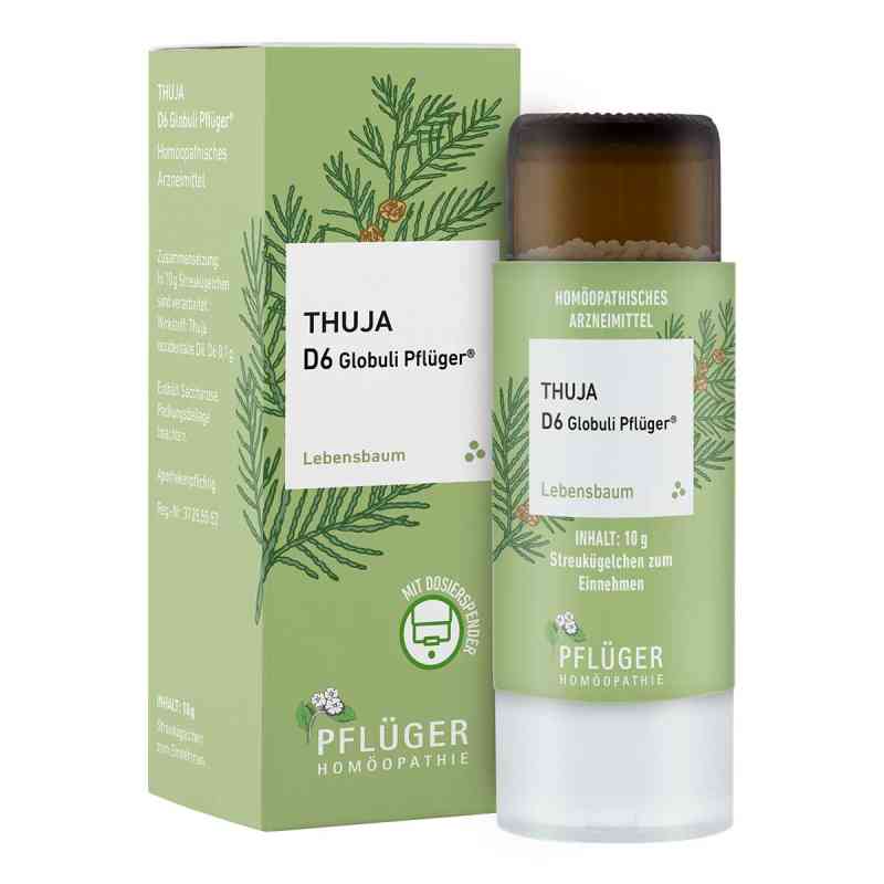 Thuja D6 Globuli Pflüger Dosierspender 10 g von Homöopathisches Laboratorium Alexander Pflüger Gmb PZN 18051699