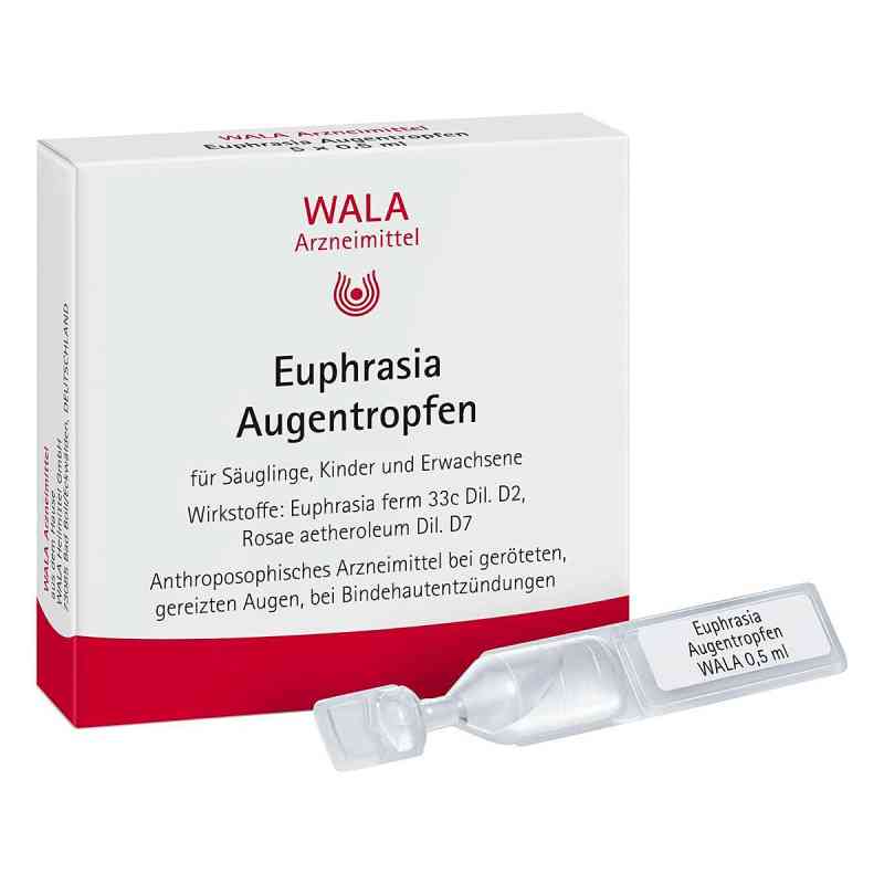 Wala Euphrasia Augentropfen 5X0.5 ml von WALA Heilmittel GmbH PZN 01448174