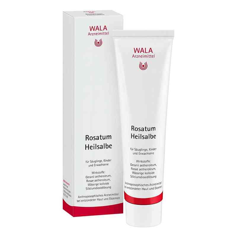 Wala Rosatum Heilsalbe 100 g von WALA Heilmittel GmbH PZN 01448530
