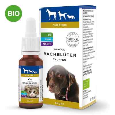 Bachblüten Tiere Tropfen Angst