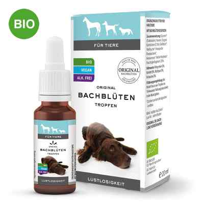 Bachblüten Tiere Tropfen Lustlosigkeit