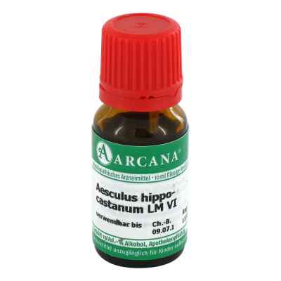 Aesculus Arcana Lm 6 Dilution
