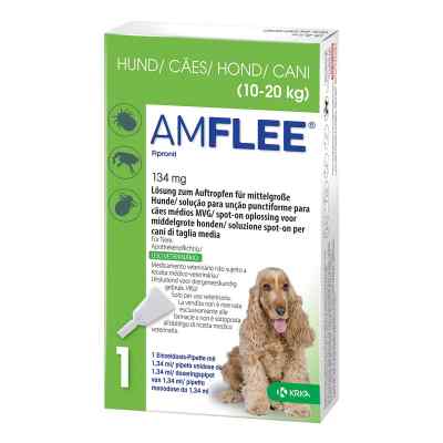 Amflee 134 mg Lösung zur, zum Auftropfen für mittelgr.Hunde 3 stk von TAD Pharma GmbH PZN 11099817