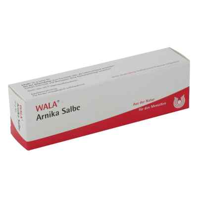 Arnika Salbe 30 g von WALA Heilmittel GmbH PZN 02198147
