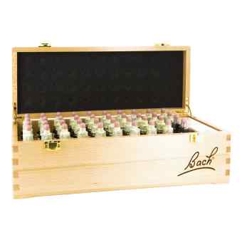 Bachblüten 20 ml Set Tropfen