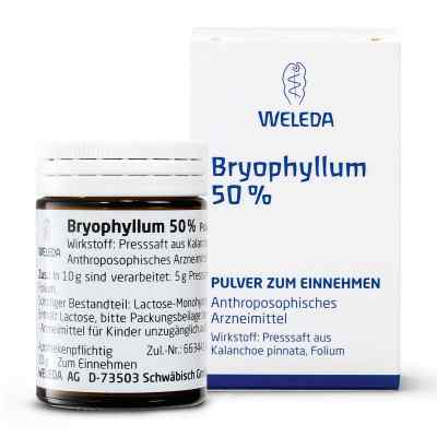Bryophyllum 50% Pulver zum Einnehmen 50 g von WELEDA AG PZN 01631441