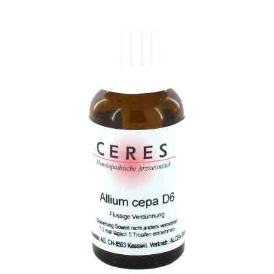 Ceres Allium cepa D6 Dilution