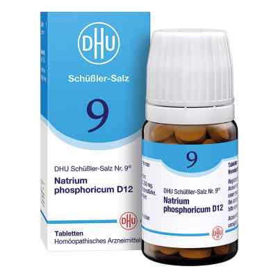 DHU Schüßler-Salz Nummer 9 Natrium phosphoricum D12 80 Tabletten 80 stk von DHU-Arzneimittel GmbH & Co. KG PZN 00274594