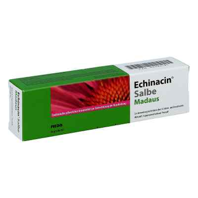 Echinacin Salbe Madaus 40 g von MEDA Pharma GmbH & Co.KG PZN 03429181