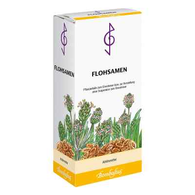 FLOHSAMEN BOMBASTUS