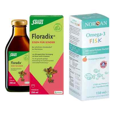 Floradix Eisen Tonikum + Norsan Omega-3 Fisk für Kinder