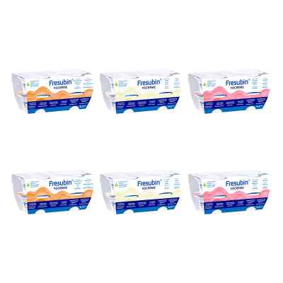 Fresubin Yocreme Mischkarton