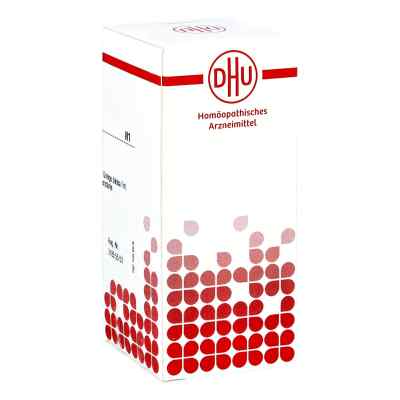 Ginkgo Biloba D6 Tabletten