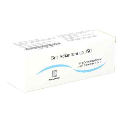 Jso Br 1 Adiantum Cp Globuli 20 g von ISO-Arzneimittel GmbH & Co. KG PZN 04942236