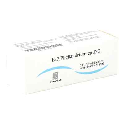 Jso Br 2 Phellandrium Cp Globuli 20 g von ISO-Arzneimittel GmbH & Co. KG PZN 04942242