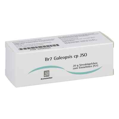 Jso Br 7 Galeopsis Cp Globuli 20 g von ISO-Arzneimittel GmbH & Co. KG PZN 04942294