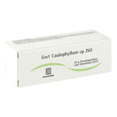 Jso Gw 1 Caulophyllum Cp Globuli 20 g von ISO-Arzneimittel GmbH & Co. KG PZN 04942727