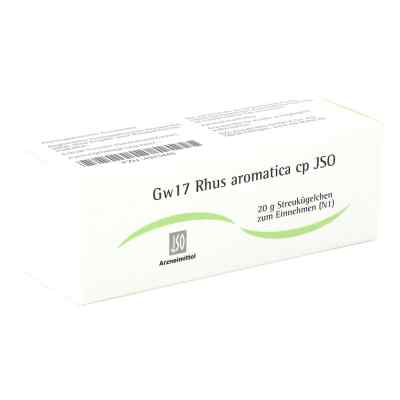 Jso Gw 17 Rhus Aromatica Cp Globuli 20 g von ISO-Arzneimittel GmbH & Co. KG PZN 04943448