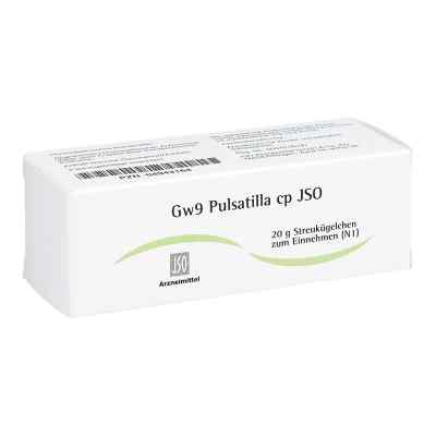 Jso Jkh Gewebemittel Gw 9 Pulsatilla cp Globuli 20 g von ISO-Arzneimittel GmbH & Co. KG PZN 04943164