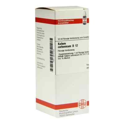Kalium Carbonicum D12 Dilution 50 ml von DHU-Arzneimittel GmbH & Co. KG PZN 02810163