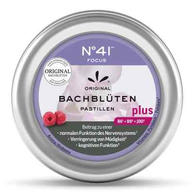 Konzentration Bachblütenpastillen nach Doktor Bach